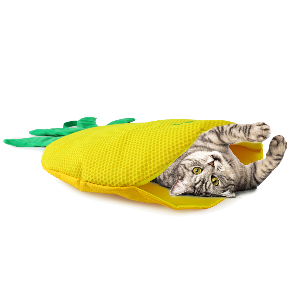 AFP Green Rush - Play Mat Ananas voor katten met Catnip - afbeelding 2