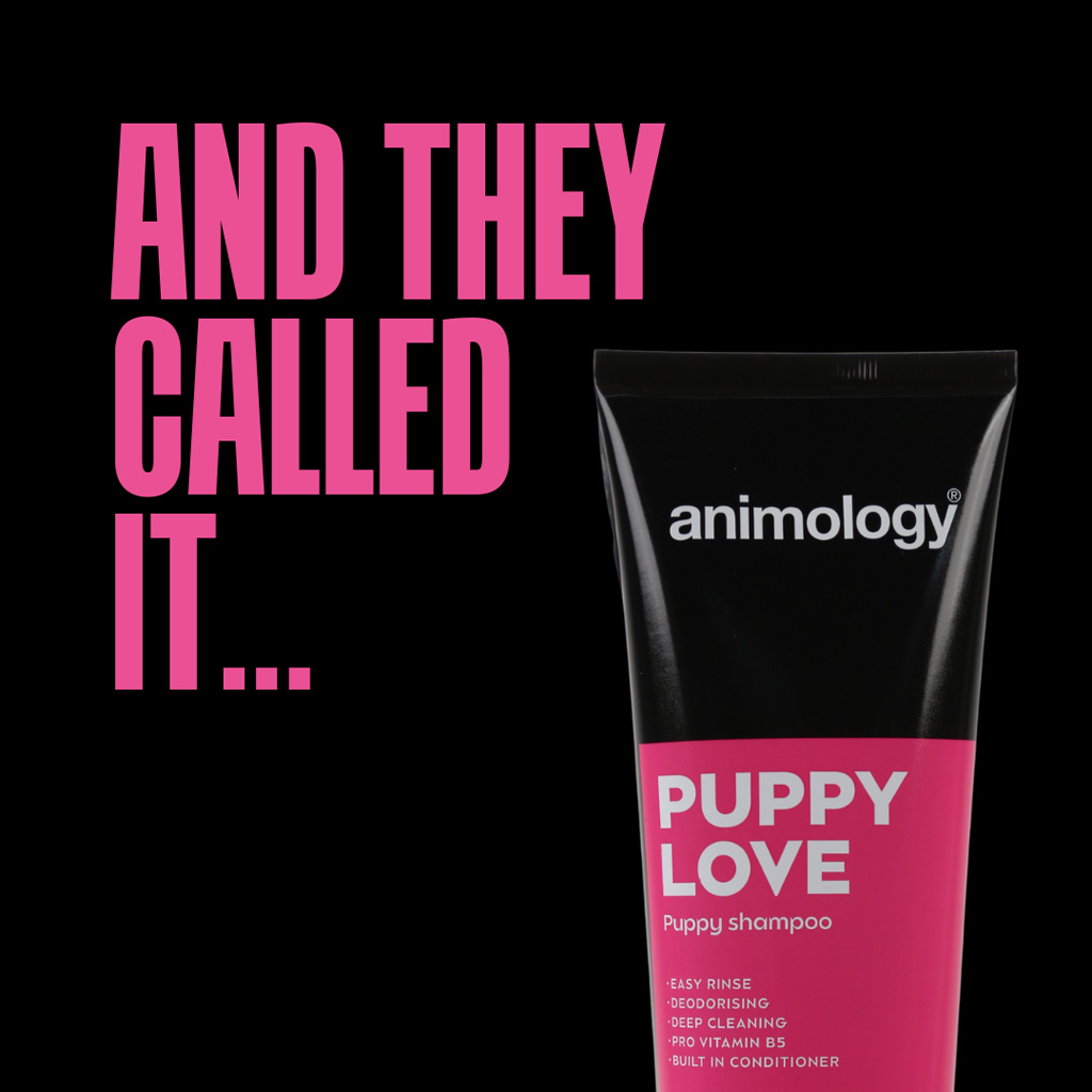 Animology Puppy Love Puppy Shampoo 250 ml - Milde shampoo voor puppy's - afbeelding 2