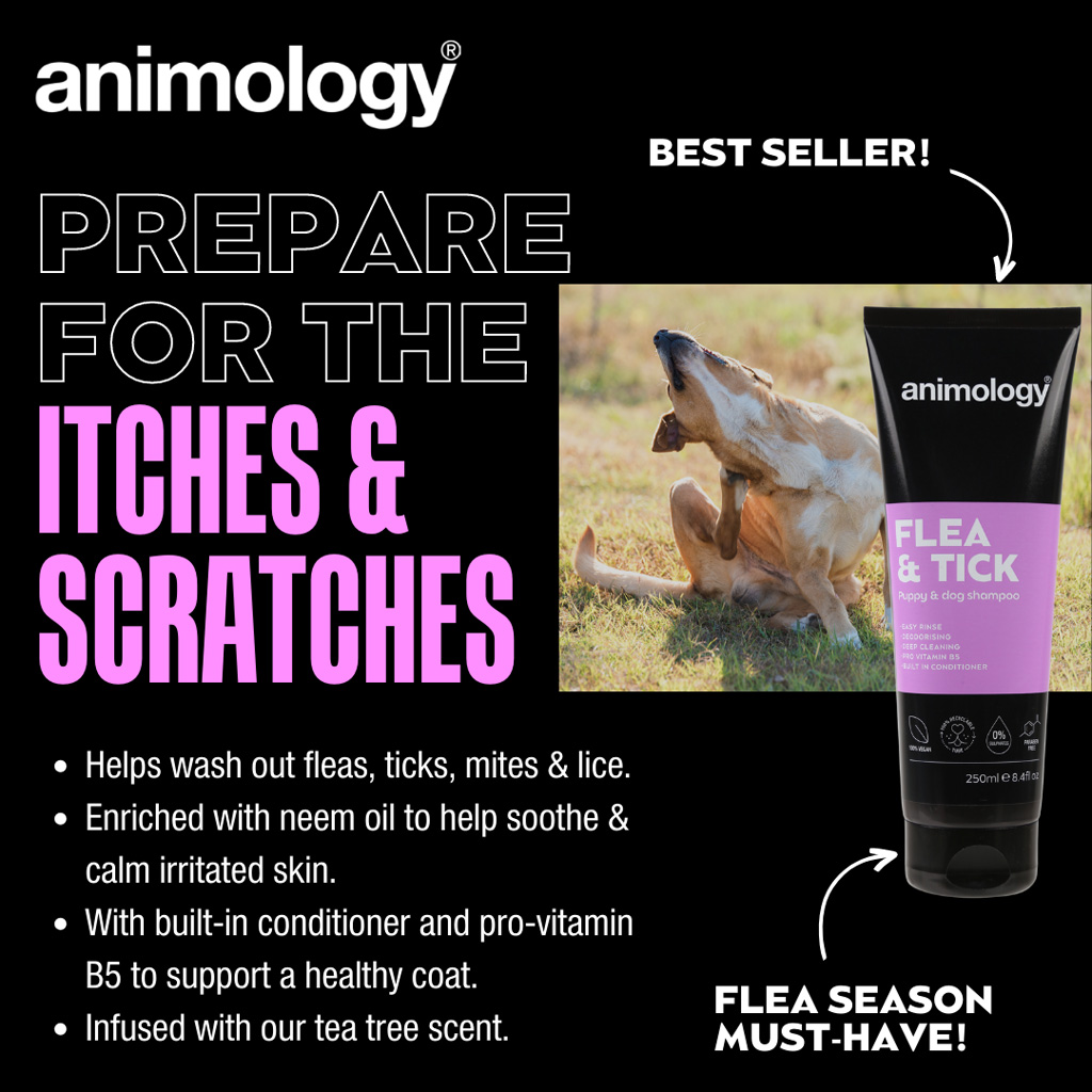 Animology Flea & Tick Dog Shampoo 250 ml - Voor honden met vlooien en teken - afbeelding 2