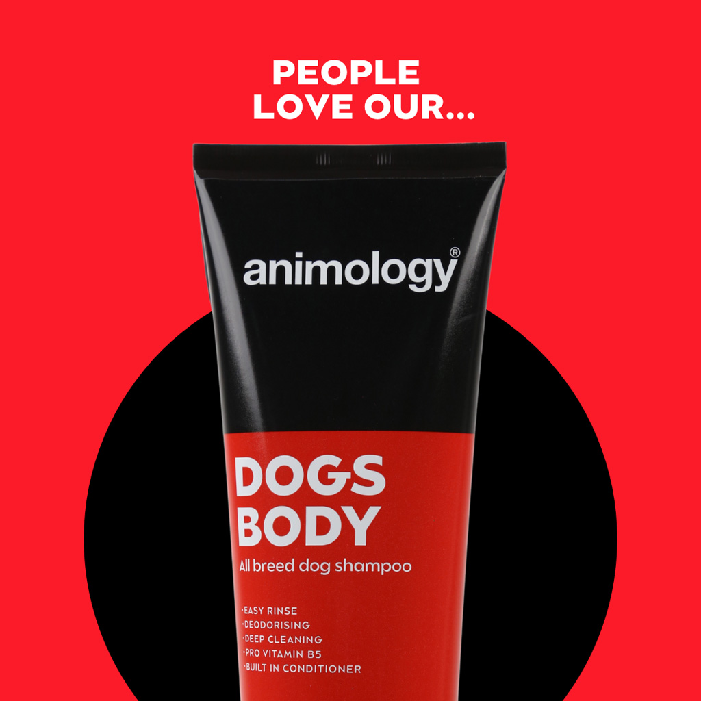 Animology Dogs Body Dog Shampoo 250 ml - Milde shampoo voor alle hondenrassen - afbeelding 2