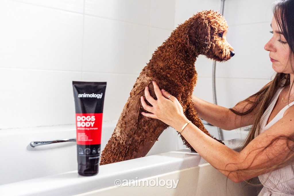 Animology Dogs Body Dog Shampoo 250 ml - Milde shampoo voor alle hondenrassen - afbeelding 3
