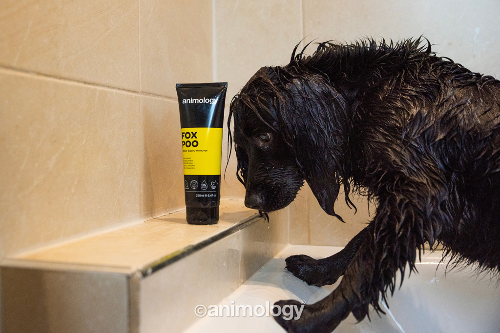 Animology Fox Poo Dog Shampoo 250 ml - Verwijdert nare geuren - afbeelding 3
