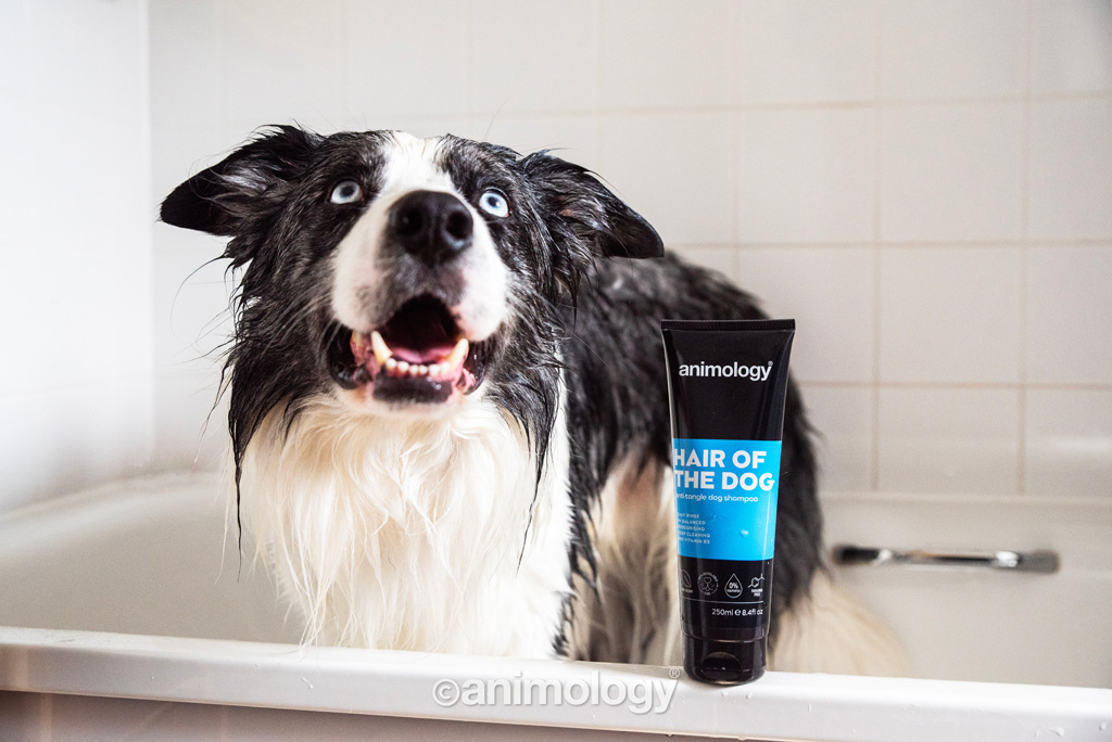 Animology Hair Of The Dog Anti-Tangle Dog Shampoo 250 ml - afbeelding 3