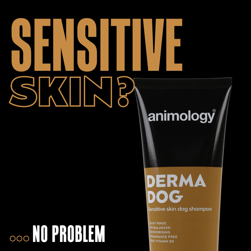 Animology Derma Dog Sensitive Skin Shampoo 250 ml voor Honden - afbeelding 2
