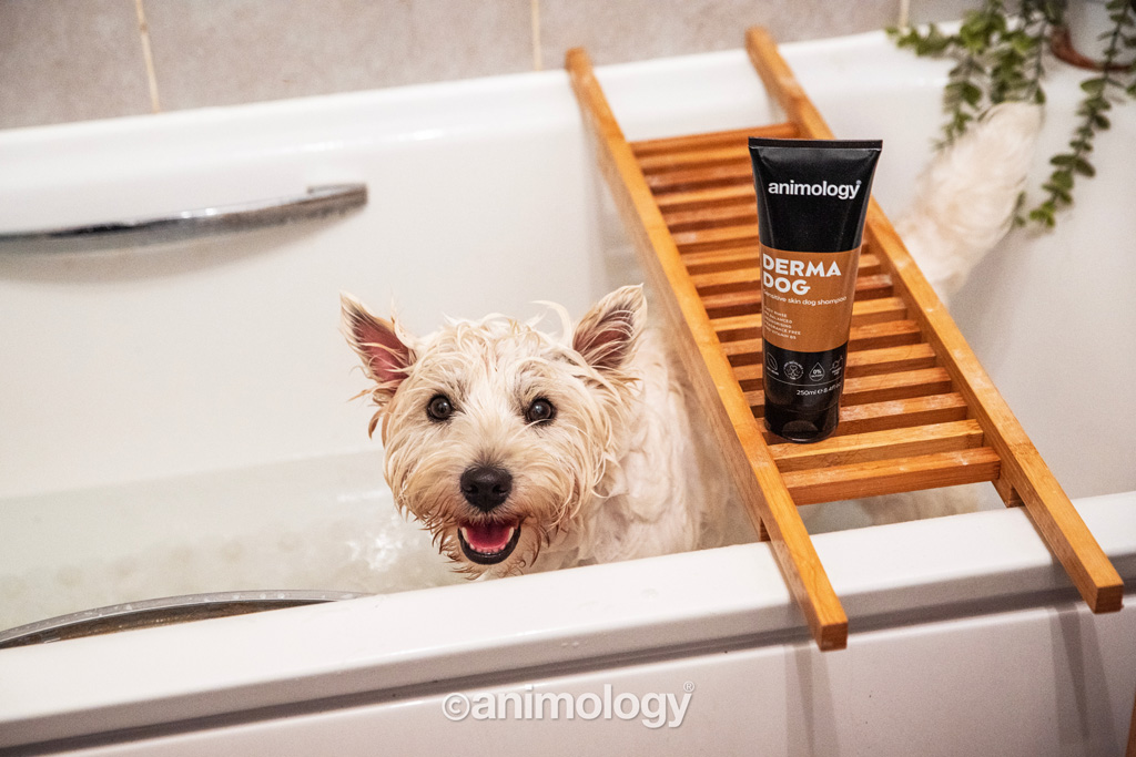 Animology Derma Dog Sensitive Skin Shampoo 250 ml voor Honden - afbeelding 3
