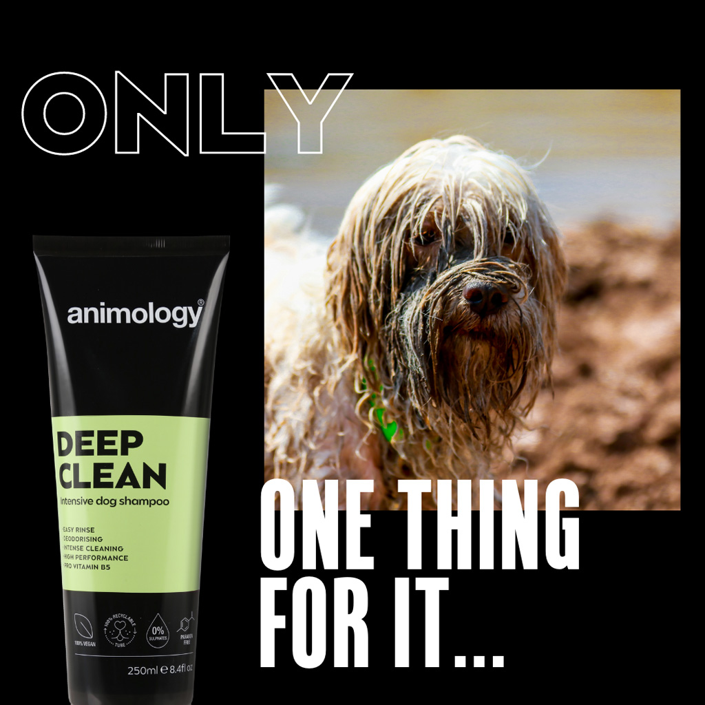 Animology Deep Clean Intensive Dog Shampoo 250 ml - Voor alle hondenrassen - afbeelding 2