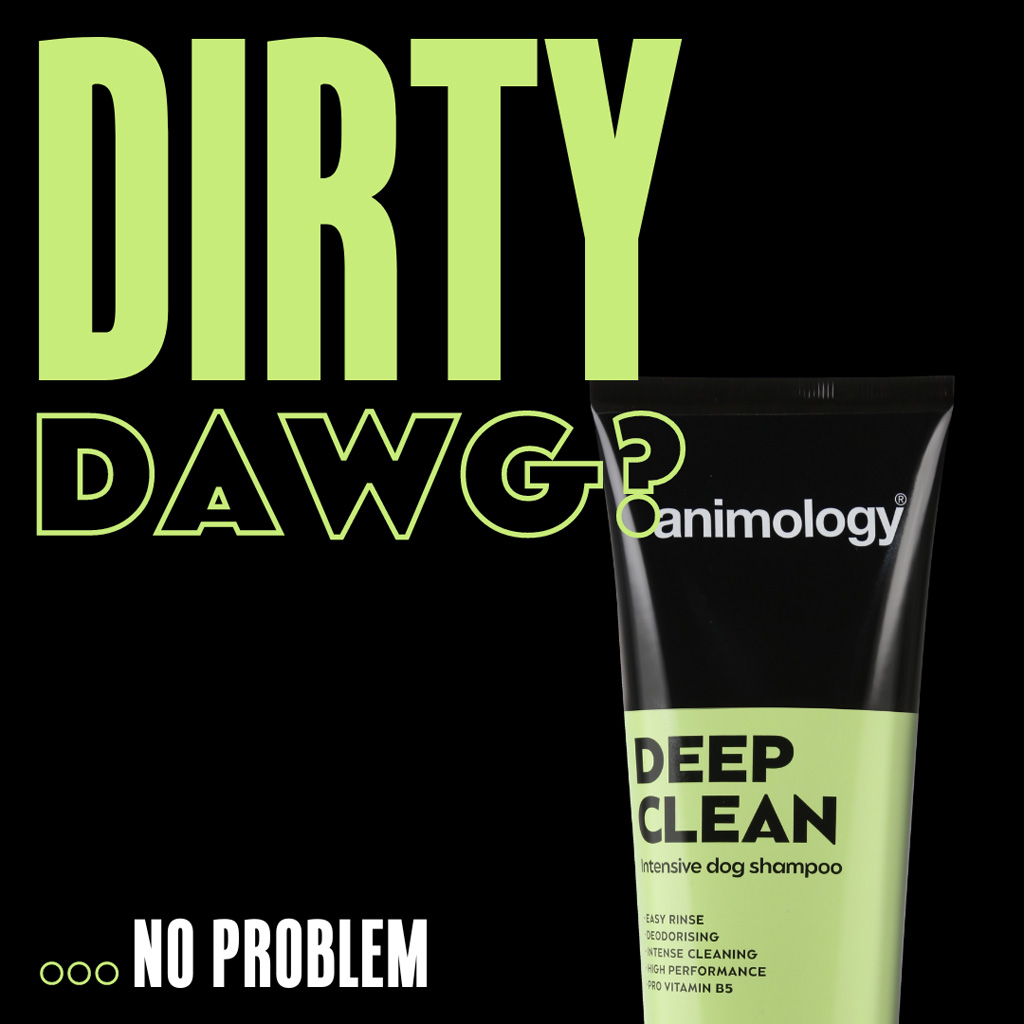 Animology Deep Clean Intensive Dog Shampoo 250 ml - Voor alle hondenrassen - afbeelding 3