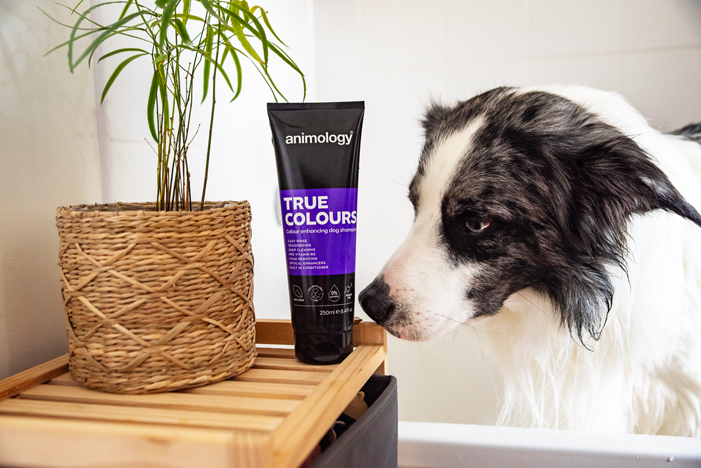 Animology True Colours Dog Shampoo 250 ml - afbeelding 3