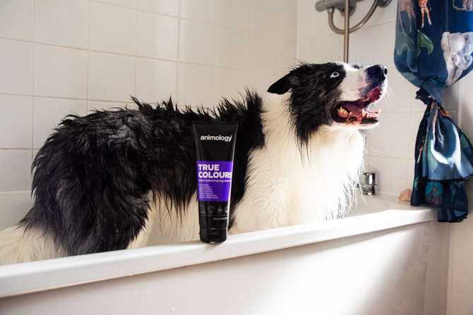 Animology True Colours Dog Shampoo 250 ml - afbeelding 4