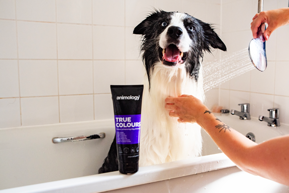 Animology True Colours Dog Shampoo 250 ml - afbeelding 5