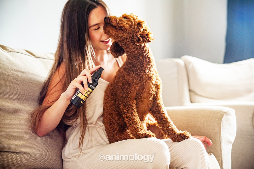 Animology Star Pups Body Mist 150 ml - Hondenverzorging - afbeelding 2