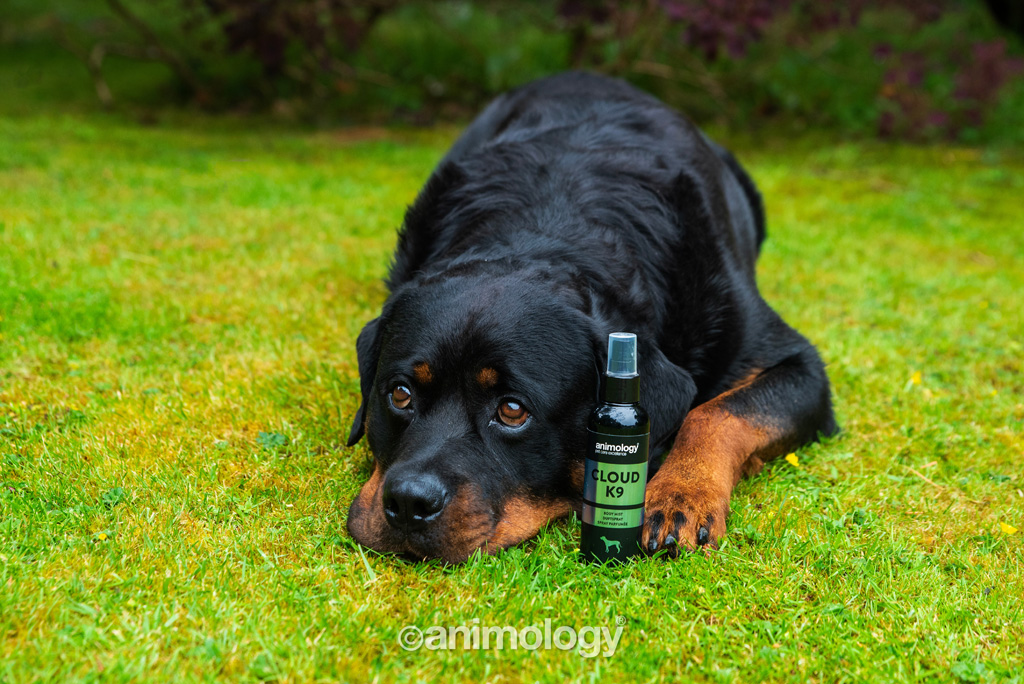 Animology Cloud K9 Body Mist 150 ml - Verzorging voor Honden - afbeelding 2
