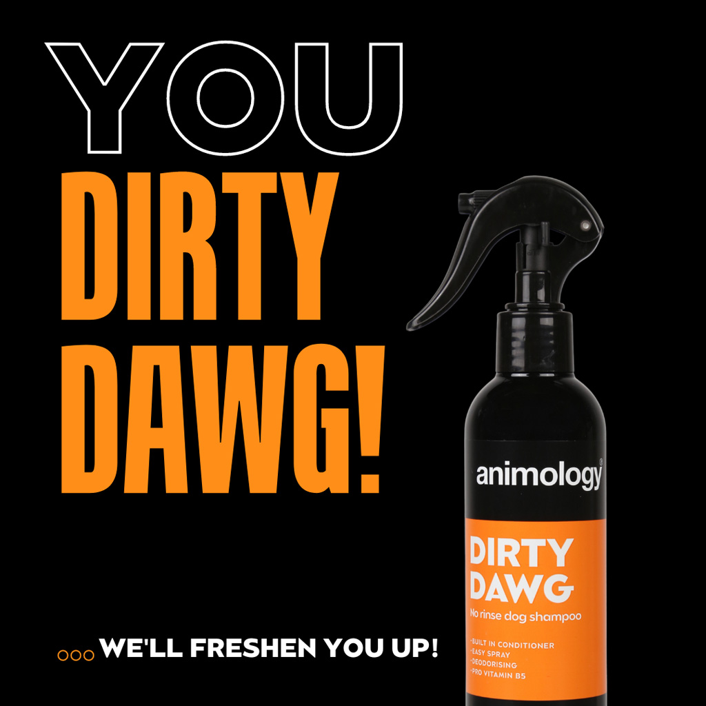 Animology Dirty Dawg No Rinse Dog Shampoo 250 ml - Verzorging voor honden - afbeelding 2