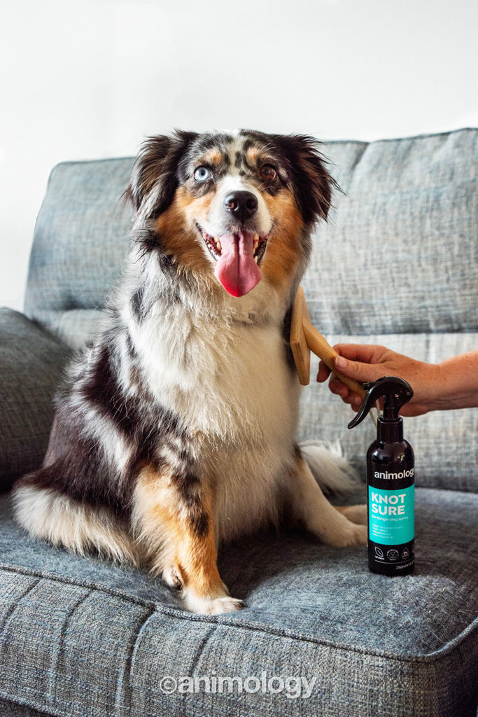 Animology Knot Sure De-Tangle Dog Spray 250 ml - Ontklittende Spray voor Honden - afbeelding 2