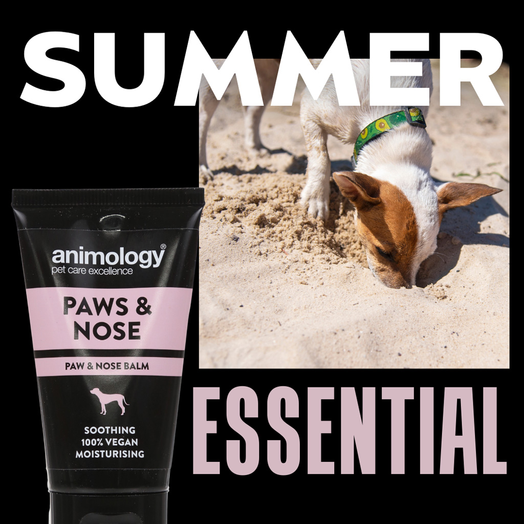 Animology Paws & Nose Balm 50 ml - Balsem voor hondenneus en voetkussens - afbeelding 2