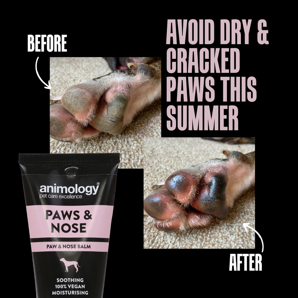 Animology Paws & Nose Balm 50 ml - Balsem voor hondenneus en voetkussens - afbeelding 3