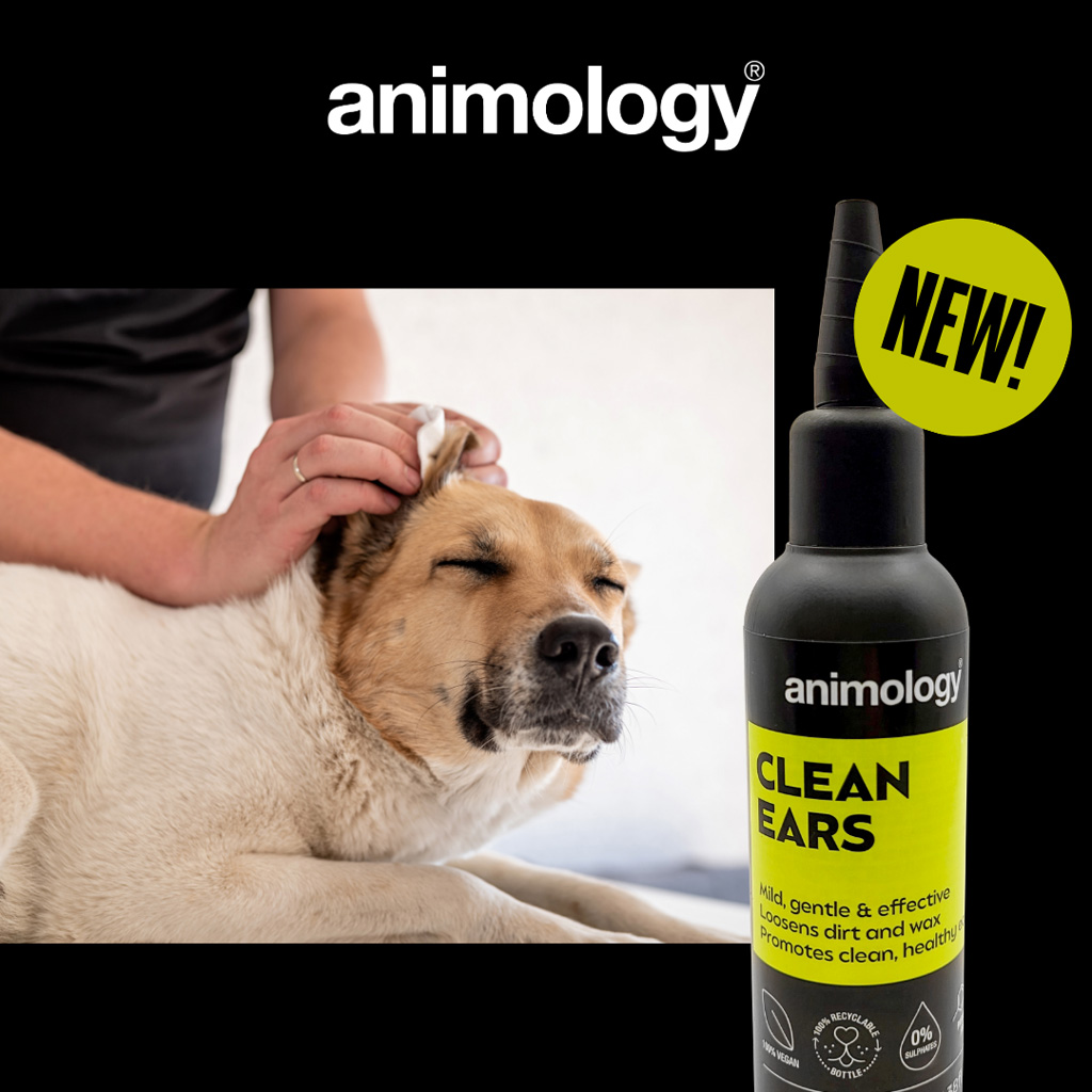 Animology Clean Ears Oorreiniger 100 ml voor Honden - afbeelding 2
