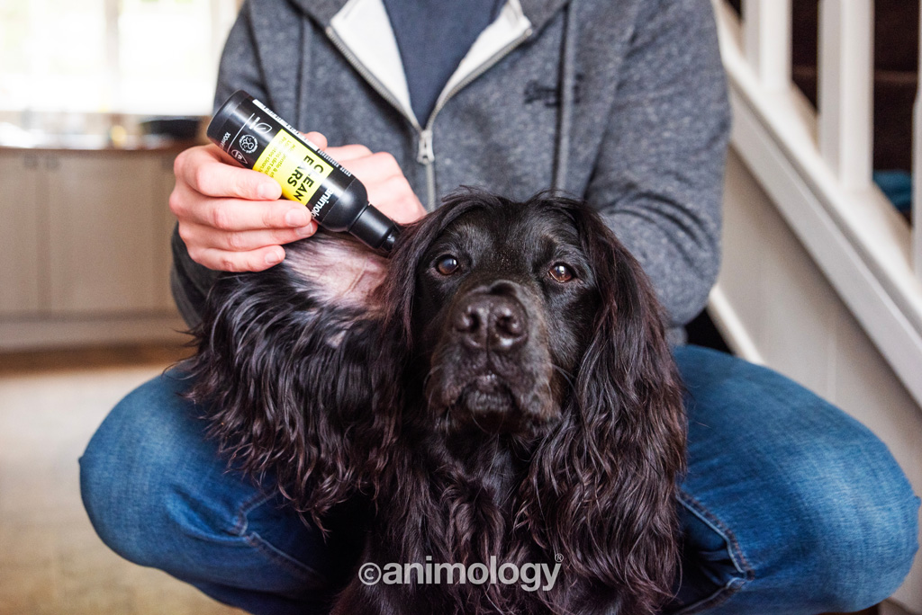 Animology Clean Ears Oorreiniger 100 ml voor Honden - afbeelding 4