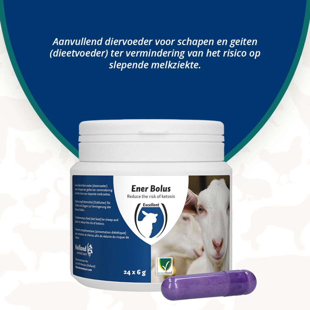 Excellent Ener Bolus Schaap & Geit - 24 stuks - afbeelding 3