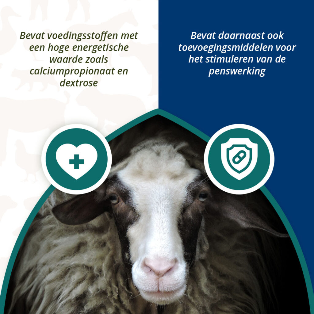 Excellent Ener Bolus Schaap & Geit - 24 stuks - afbeelding 4