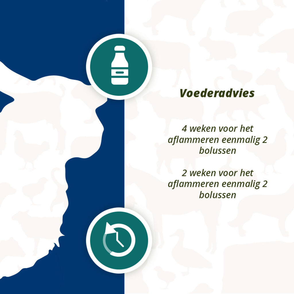 Excellent Ener Bolus Schaap & Geit - 24 stuks - afbeelding 5