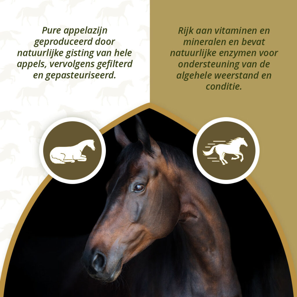 Excellent Horse Apple Vinegar 1 l - Appelazijn voor paarden - afbeelding 3