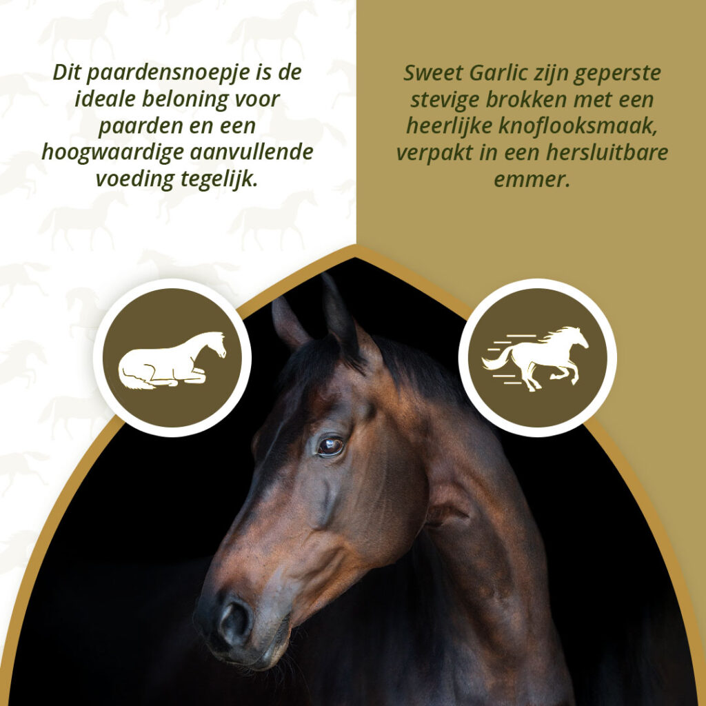 Excellent Horse Sweet Blocks Knoflook 1,2 kg - Gezonde traktatie voor paarden - afbeelding 4