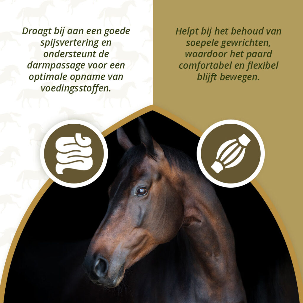 Excellent Horse Omega Boost 1 l - Ondersteuning voor huid en vacht - afbeelding 3