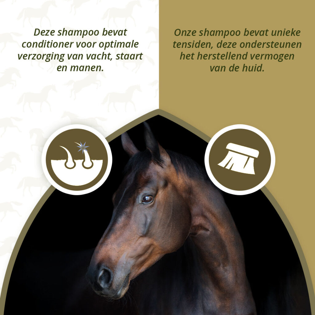 Excellent Horse Hi Gloss Shampoo Lavender 500 ml - Verzorgende Vachtverzorging - afbeelding 3