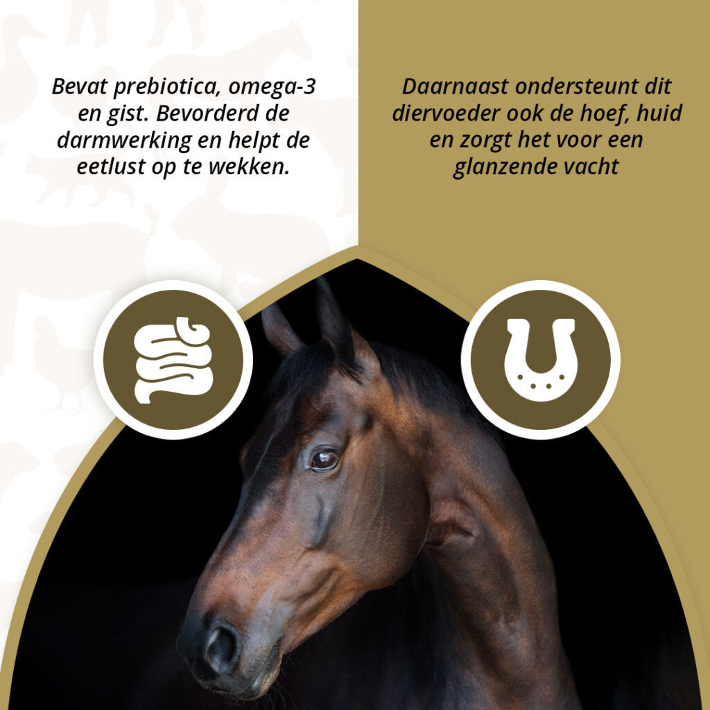 Excellent Horse Prebiotics 2,5 kg - Supplement voor Paarden - afbeelding 3