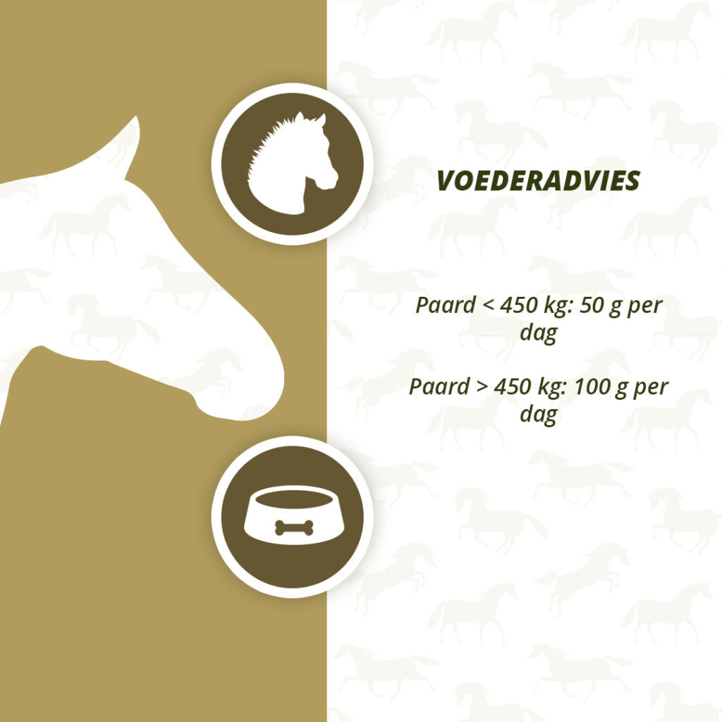 Excellent Horse Prebiotics 2,5 kg - Supplement voor Paarden - afbeelding 4