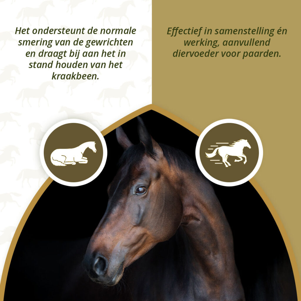 Excellent Horse Mobility Plus 2 kg - Supplement voor gewrichten en mobiliteit - afbeelding 4