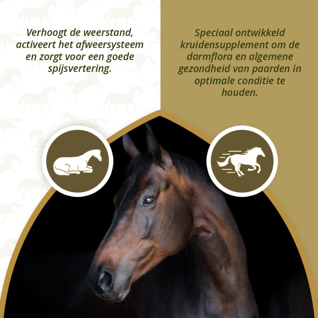 Excellent Horse Parex 1,5 kg - Natuurlijk supplement voor paarden - afbeelding 3