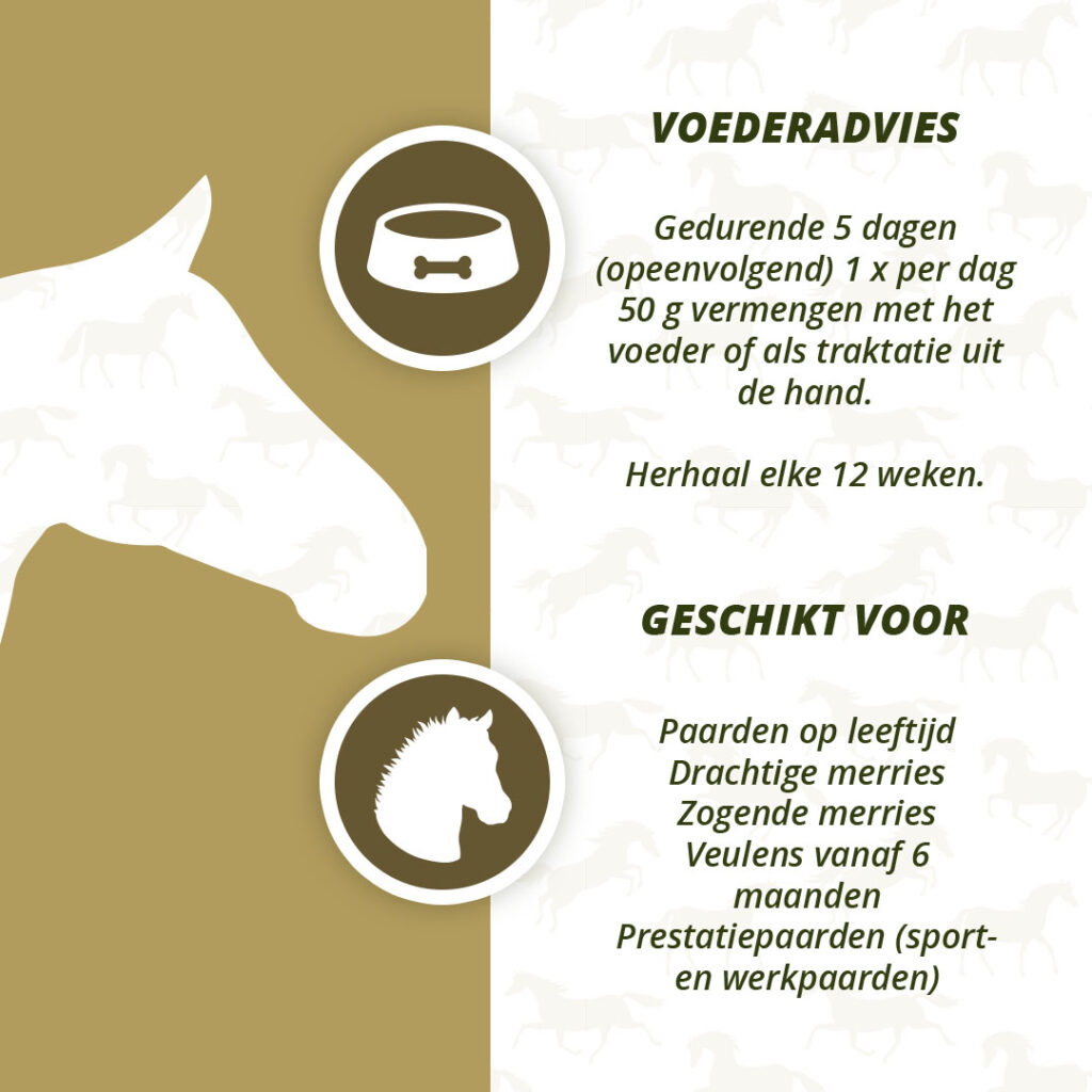 Excellent Horse Parex 1,5 kg - Natuurlijk supplement voor paarden - afbeelding 4