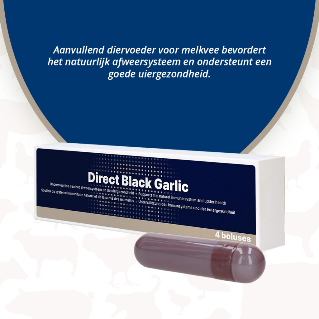 Direct Udder Support 4 x 60 g - Bolussen voor Uiergezondheid - afbeelding 3