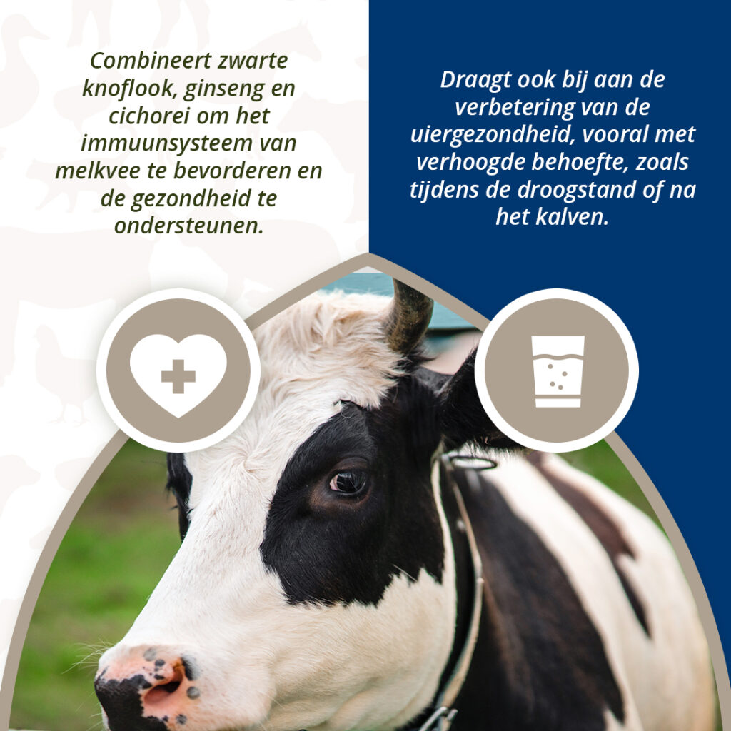 Direct Udder Support 4 x 60 g - Bolussen voor Uiergezondheid - afbeelding 4