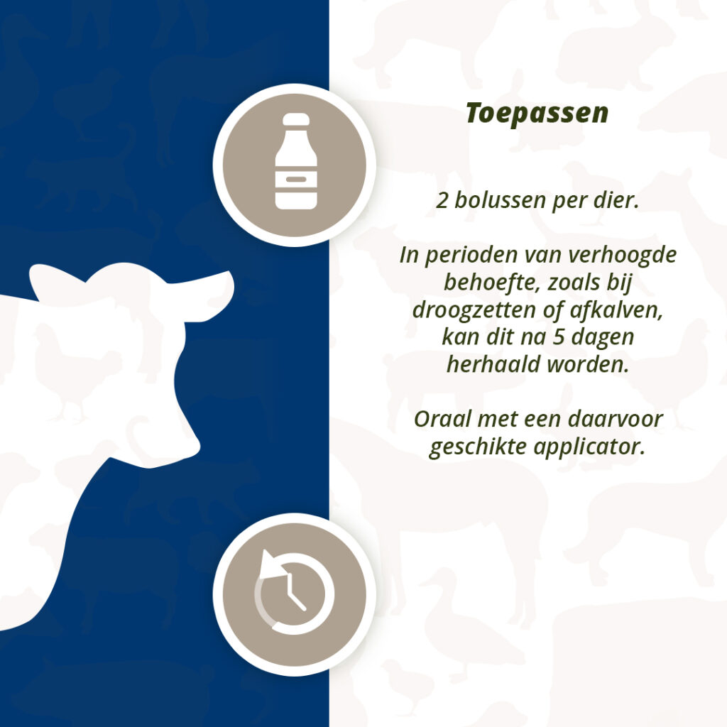 Direct Udder Support 4 x 60 g - Bolussen voor Uiergezondheid - afbeelding 5