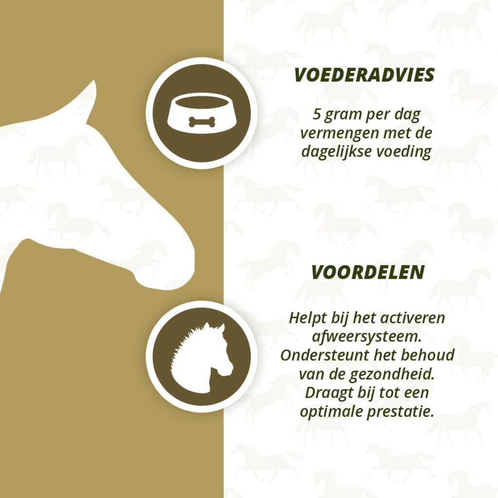 Excellent Horse Herbs Zwarte Knoflook 450 g - Supplement voor Paarden - afbeelding 4