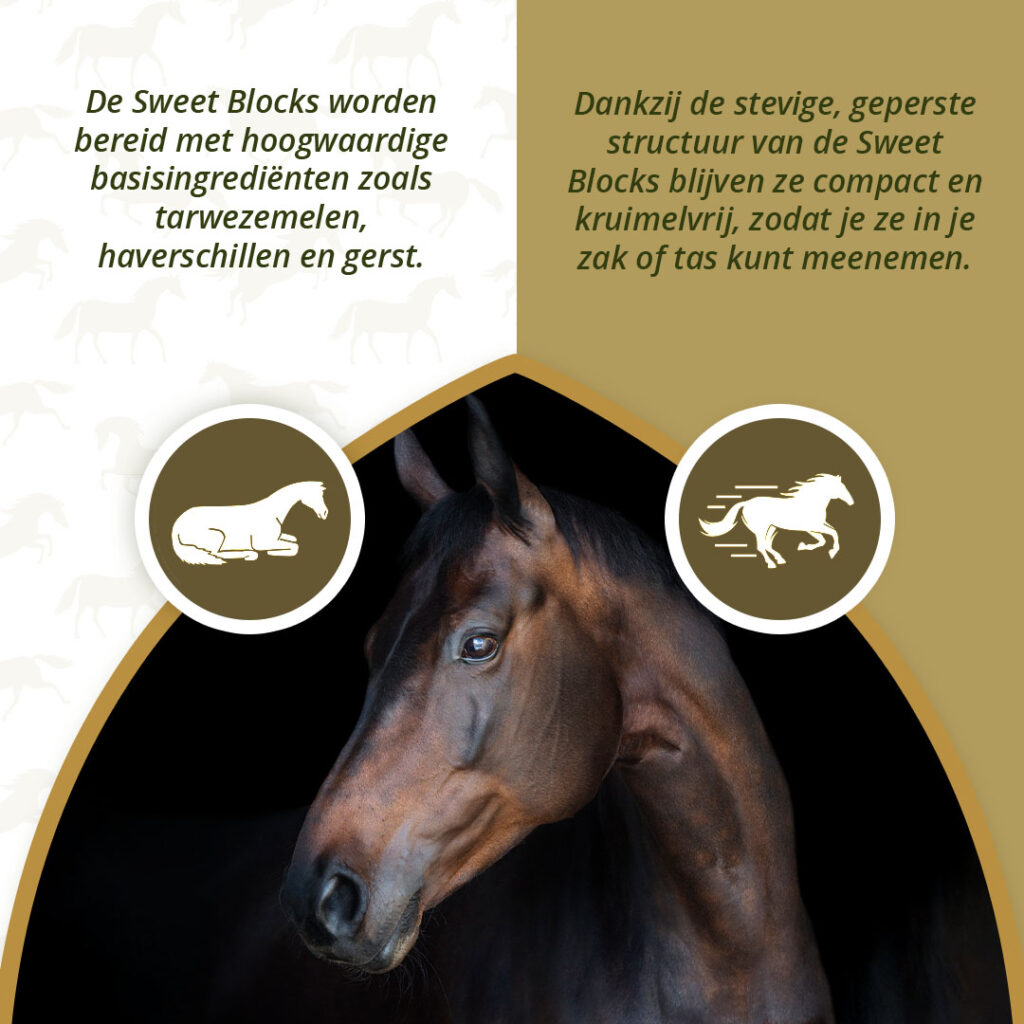 Excellent Horse Sweet Blocks Herbs 1 kg - Gezonde traktatie voor paarden - afbeelding 3