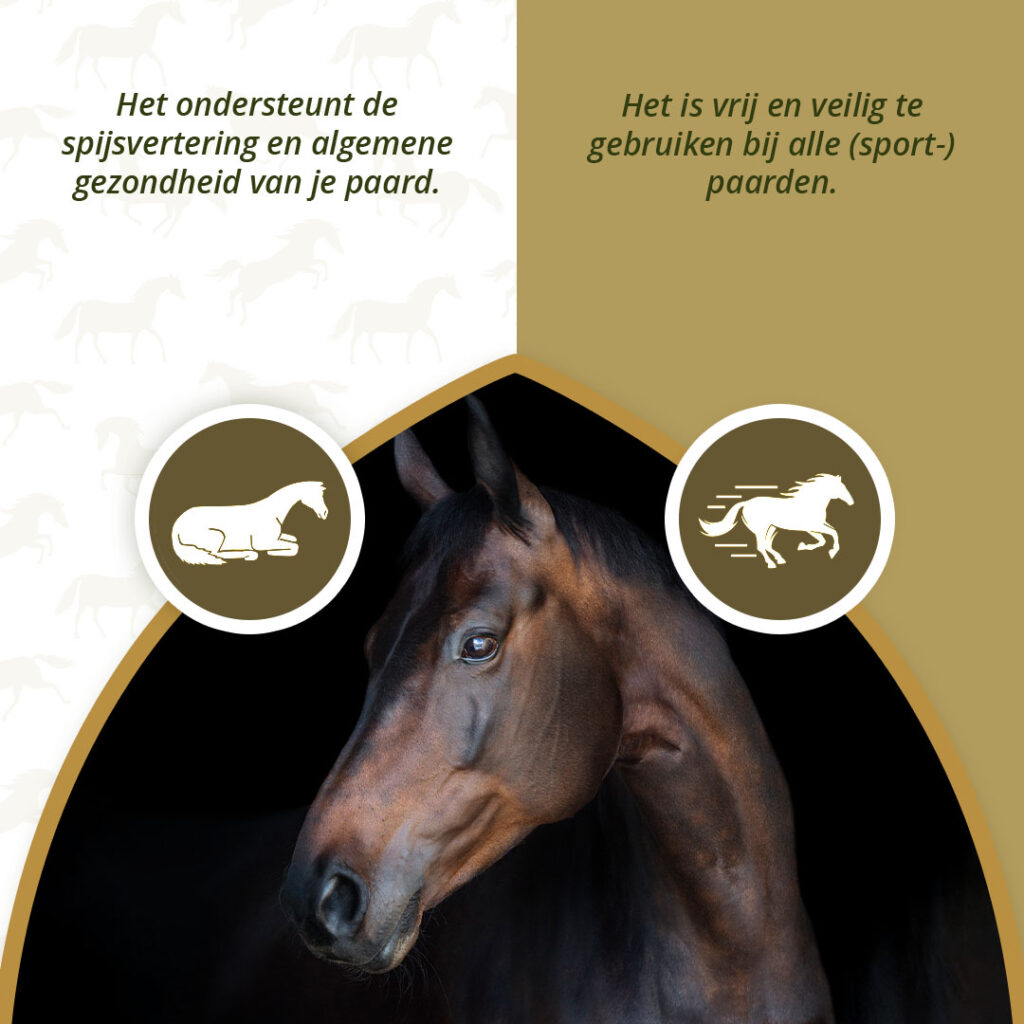 Excellent Horse PureFree 1 kg - Supplement voor spieren en gewrichten - afbeelding 3
