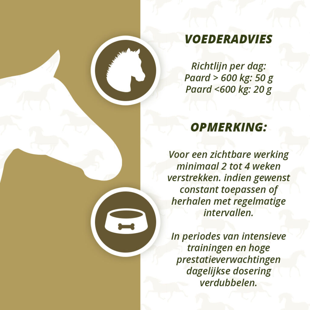 Excellent Horse Turbo 1 kg - Supplement voor spieropbouw bij paarden - afbeelding 4