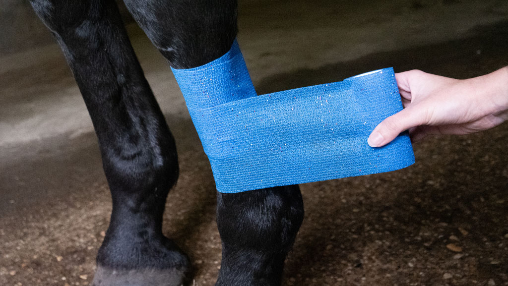 Excellent Animal Glitter Bandage Profi 10 cm - Blauw - afbeelding 3