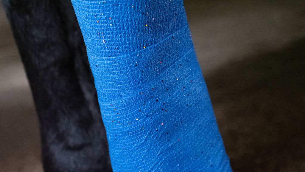 Excellent Animal Glitter Bandage Profi 10 cm - Blauw - afbeelding 4