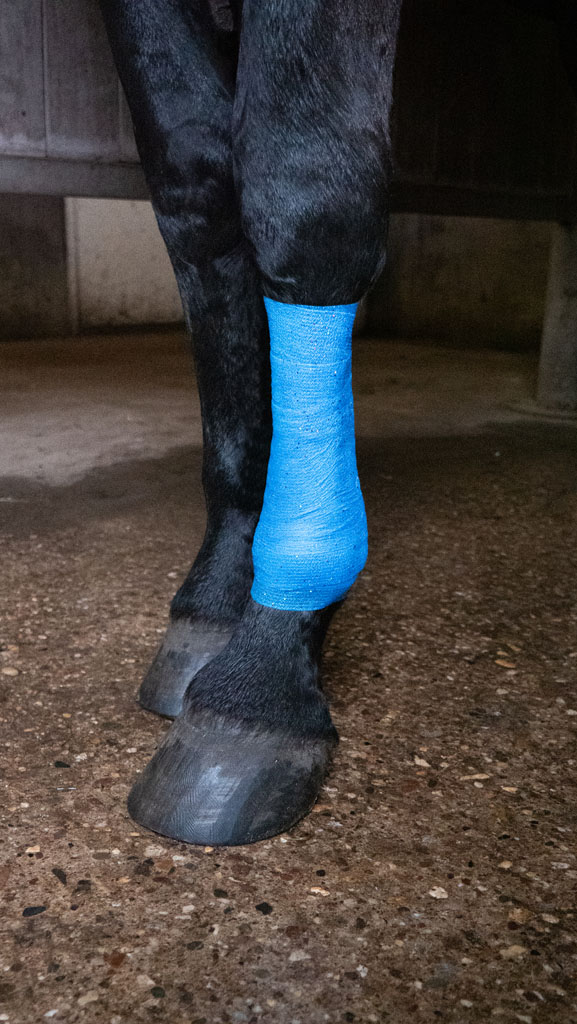 Excellent Animal Glitter Bandage Profi 10 cm - Blauw - afbeelding 2
