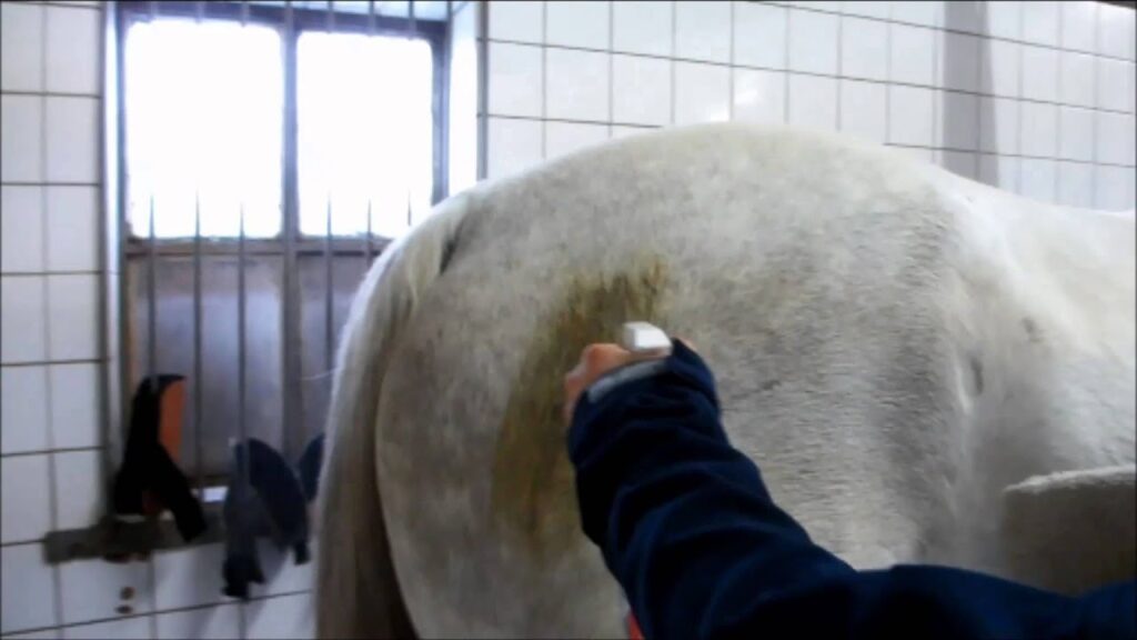 Excellent Horse Hi Gloss Clean Spray 500 ml - Reinigen zonder wassen - afbeelding 6