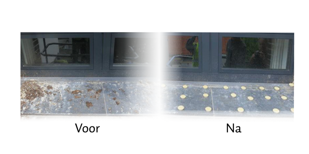 Bird Free Kunststof Schaaltjes met Gel voor Vogelwering - afbeelding 2