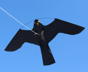 Birdshield Set - Vlieger met 7 meter telescopische mast voor vogelafschrikking