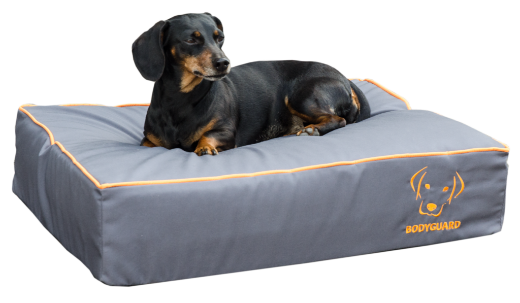 Bodyguard Royal Bed Grijs S - Hondenkussen met Insectenbescherming - afbeelding 1