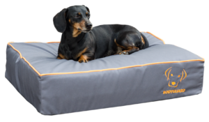 Bodyguard Royal Bed Grijs S - Hondenkussen met Insectenbescherming