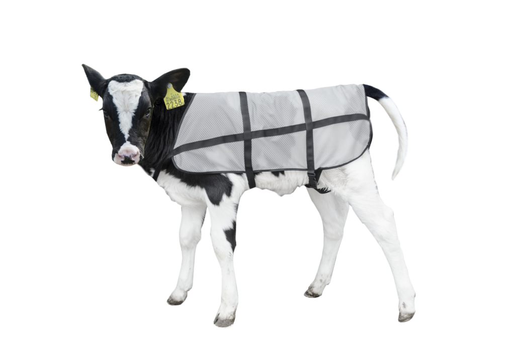 Bodyguard Kalf Zomerdekje 70 cm - afbeelding 1